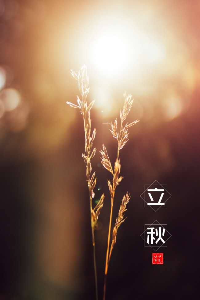 立秋 立秋